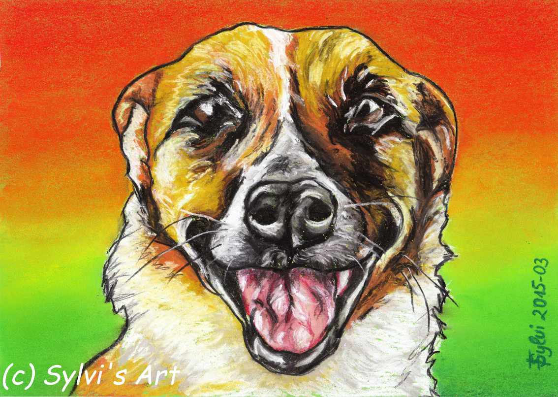 Hunde Details Sylvi�s bunte Welt