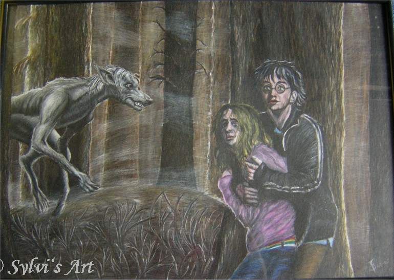 Harry und Hermione plus Werwolf