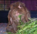 Schnuppie, das arme Würmchen